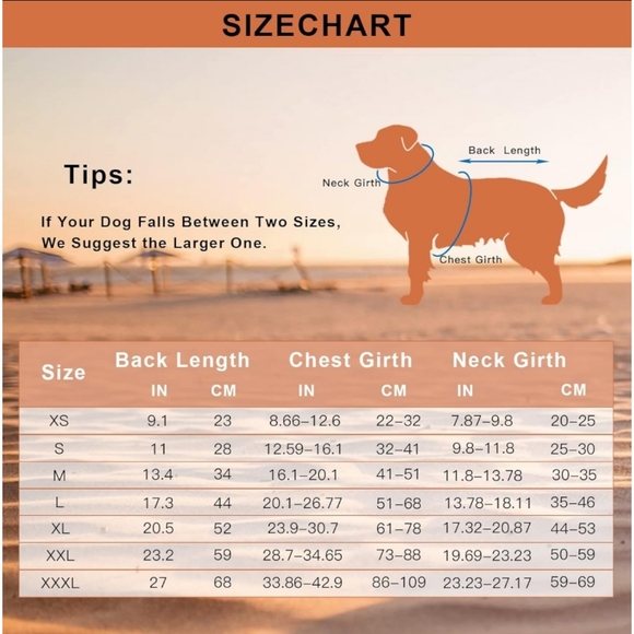 PPET Navy Blue Waterproof Winter Coat with Two Way Zippered Harness Hole,Size XS - Picture 3 of 8